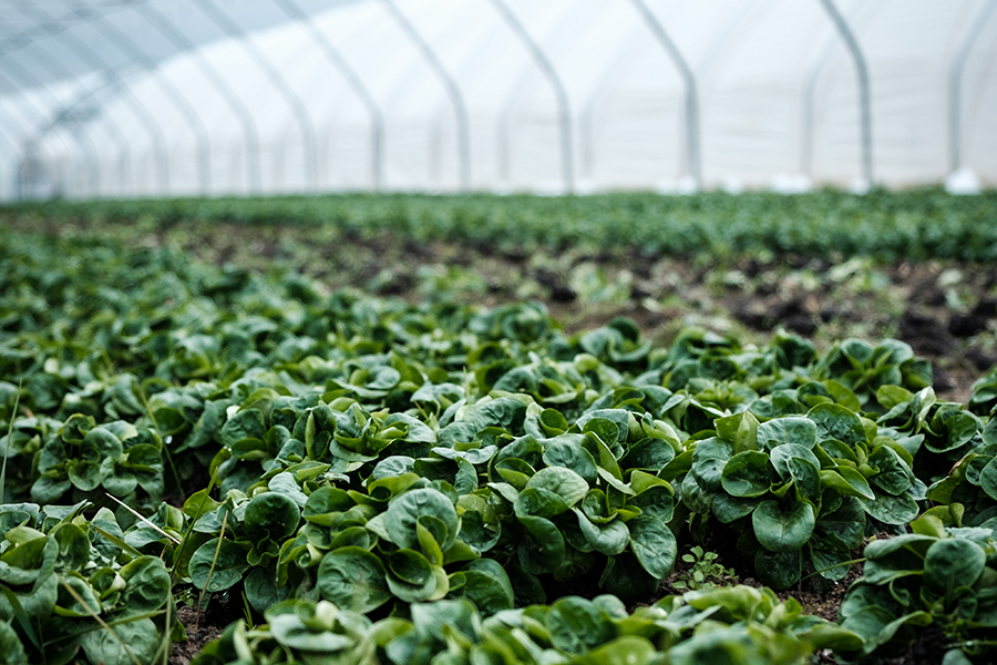 Formazione tecnici nel campo dei controlli oggettivi