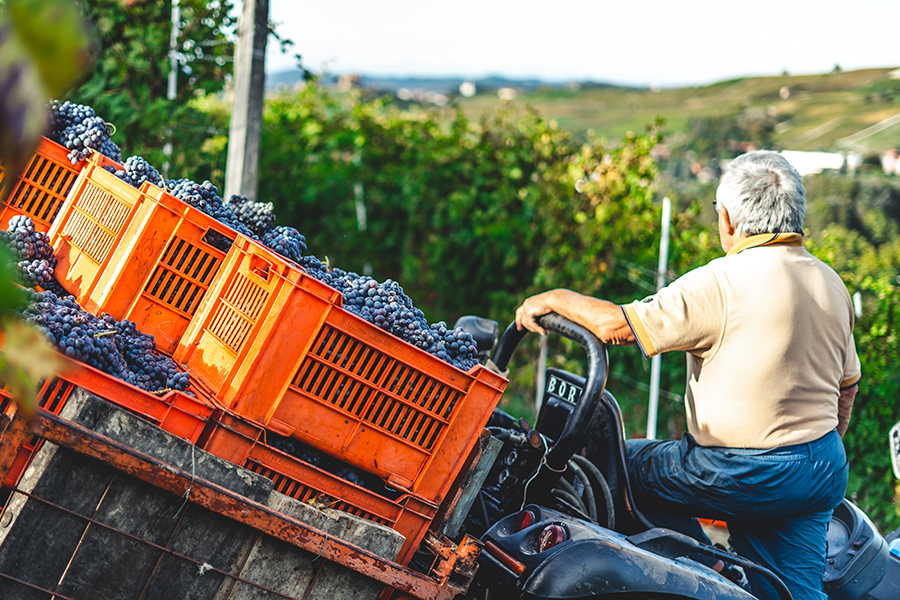 Percorso formativo per la formazione in sicureza dei braccianti agricoli iscritti nelle liste circoscrizionali